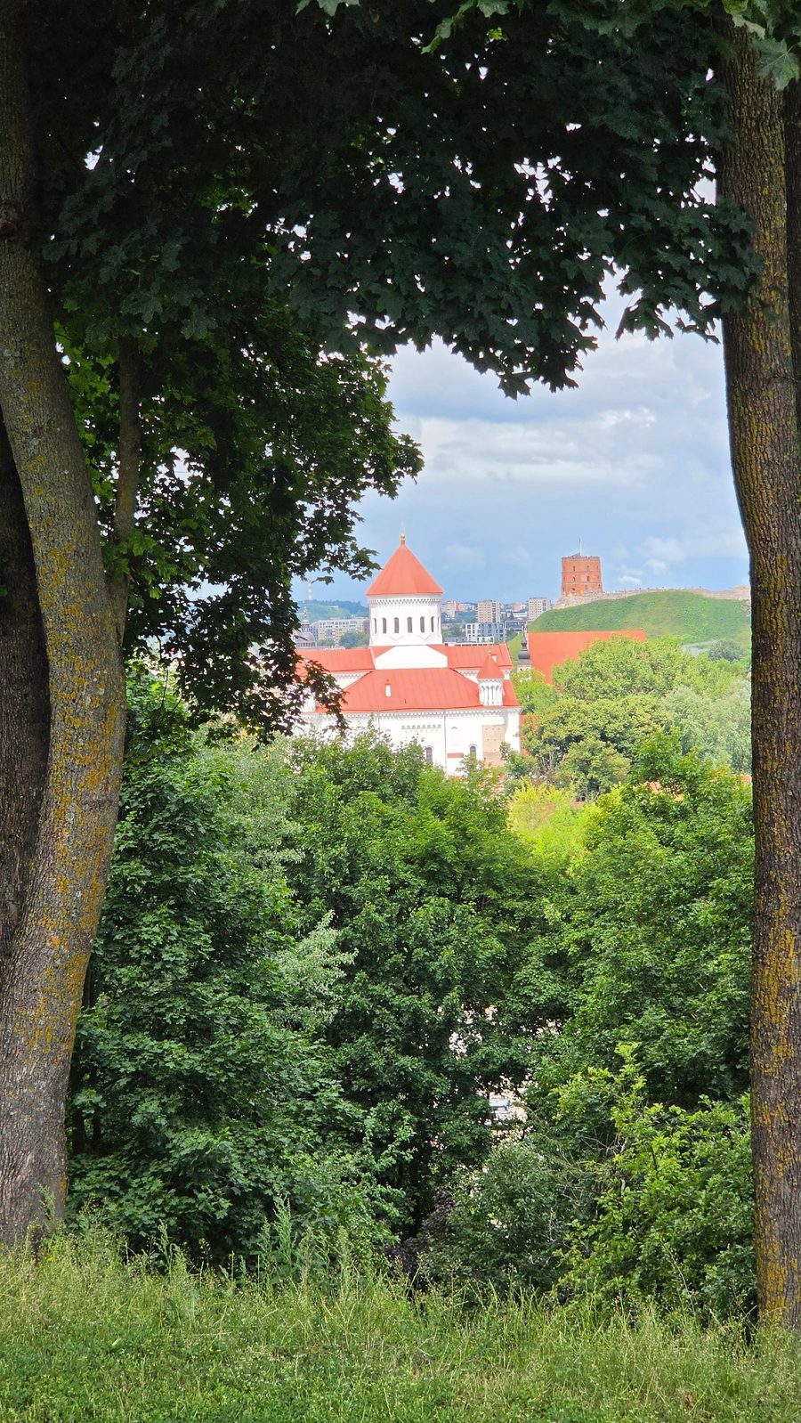 Piligriminė kelionė į Kryžių kalną